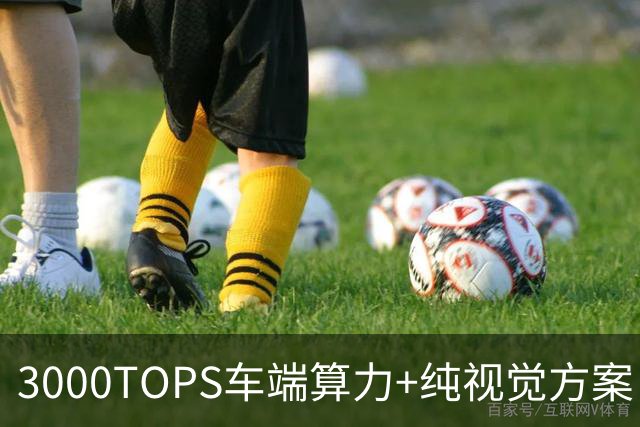 3000TOPS车端算力+纯视觉方案：小鹏悠游获L4示范运营牌照
